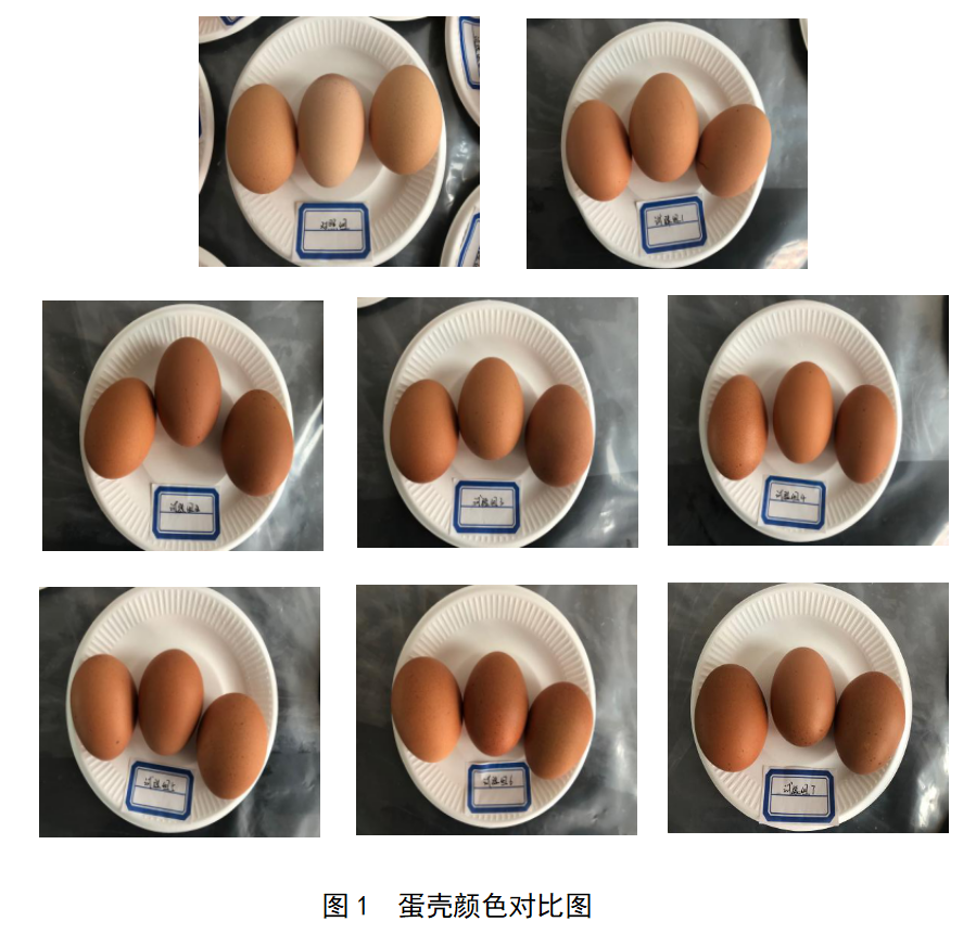 乐橙国际·lc8(中国游)官方网站