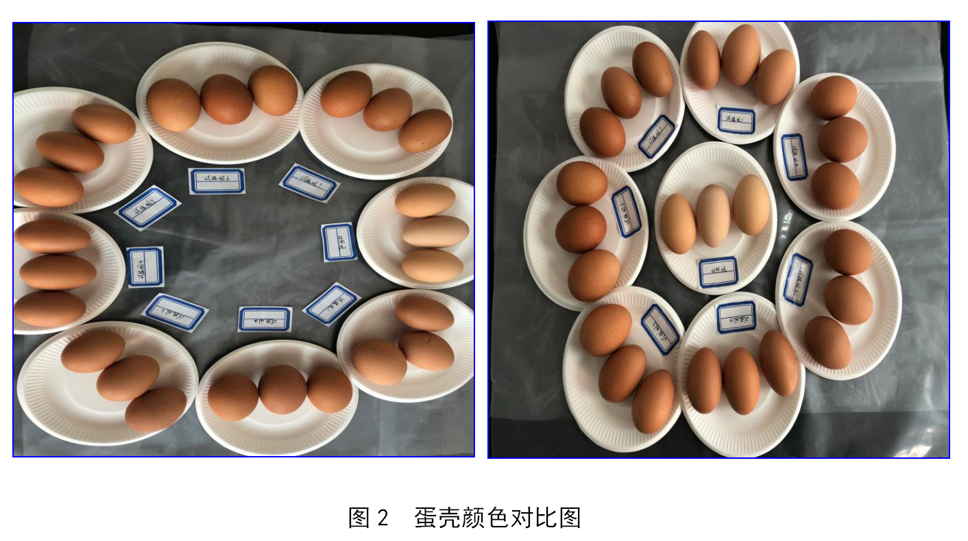 乐橙国际·lc8(中国游)官方网站