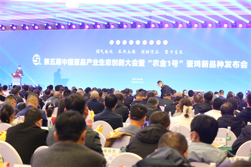 乐橙国际·lc8(中国游)官方网站