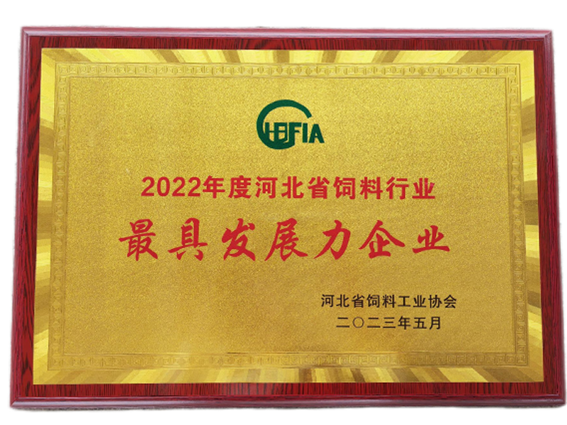 乐橙国际·lc8(中国游)官方网站