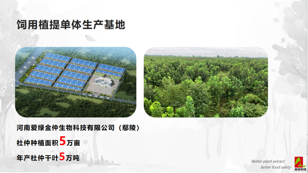 乐橙国际·lc8(中国游)官方网站