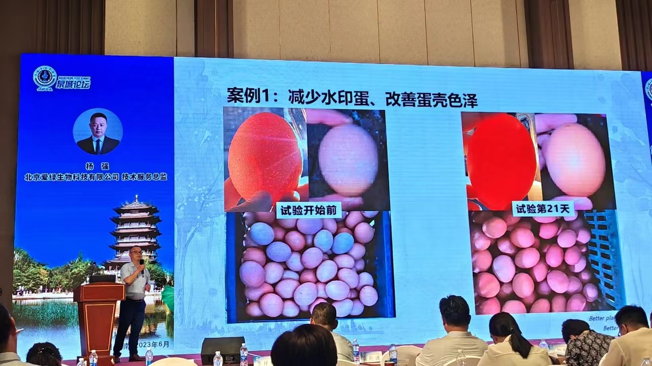 乐橙国际·lc8(中国游)官方网站